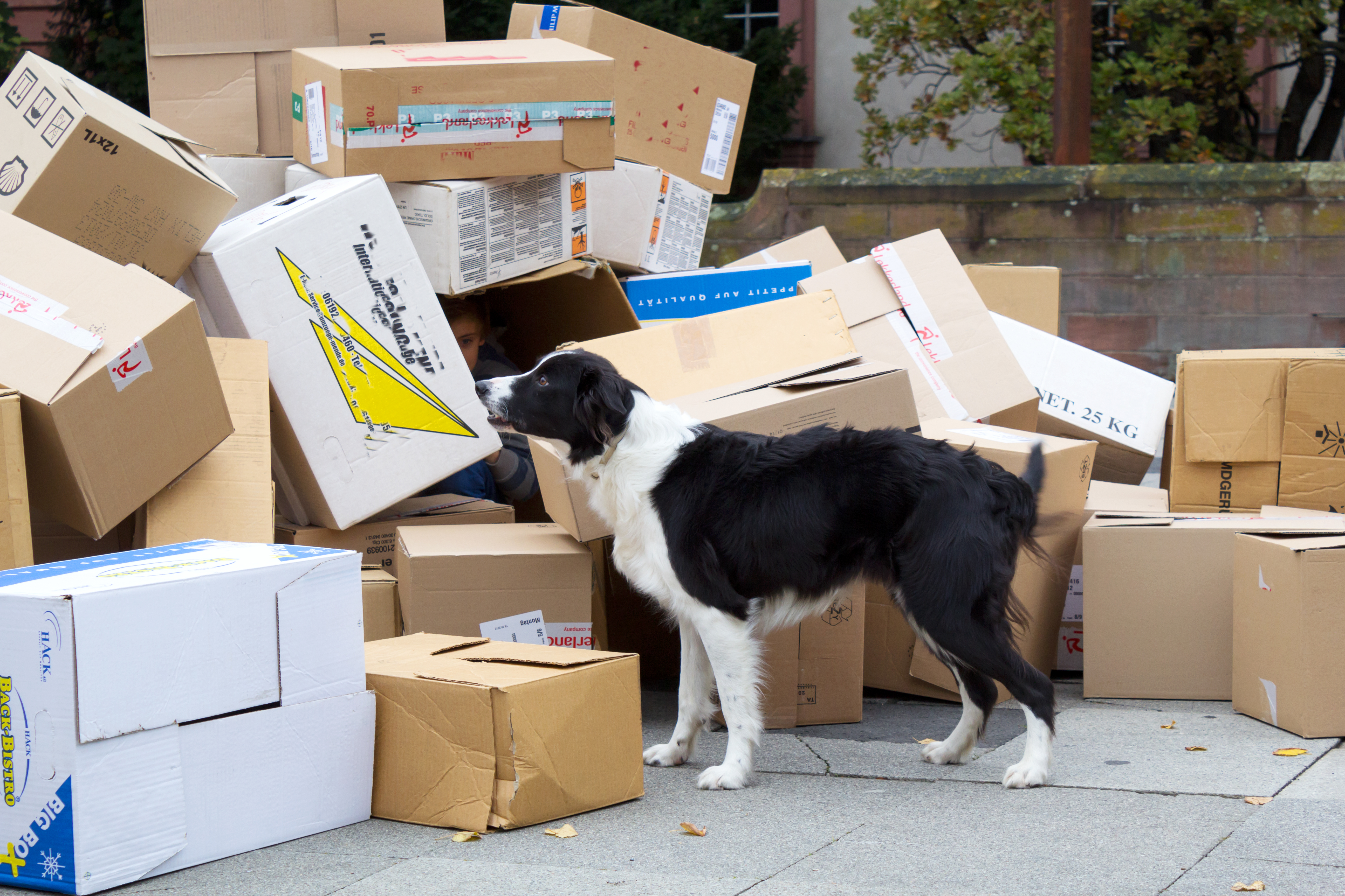  Rettungshundezug ASB Südhessen_04.jpg