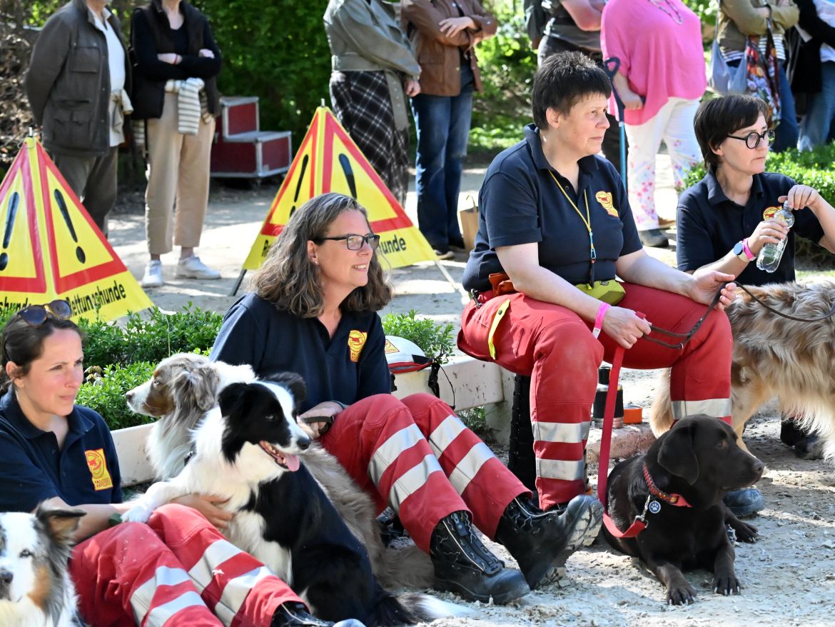 DSC_RHS-Teil.JPG