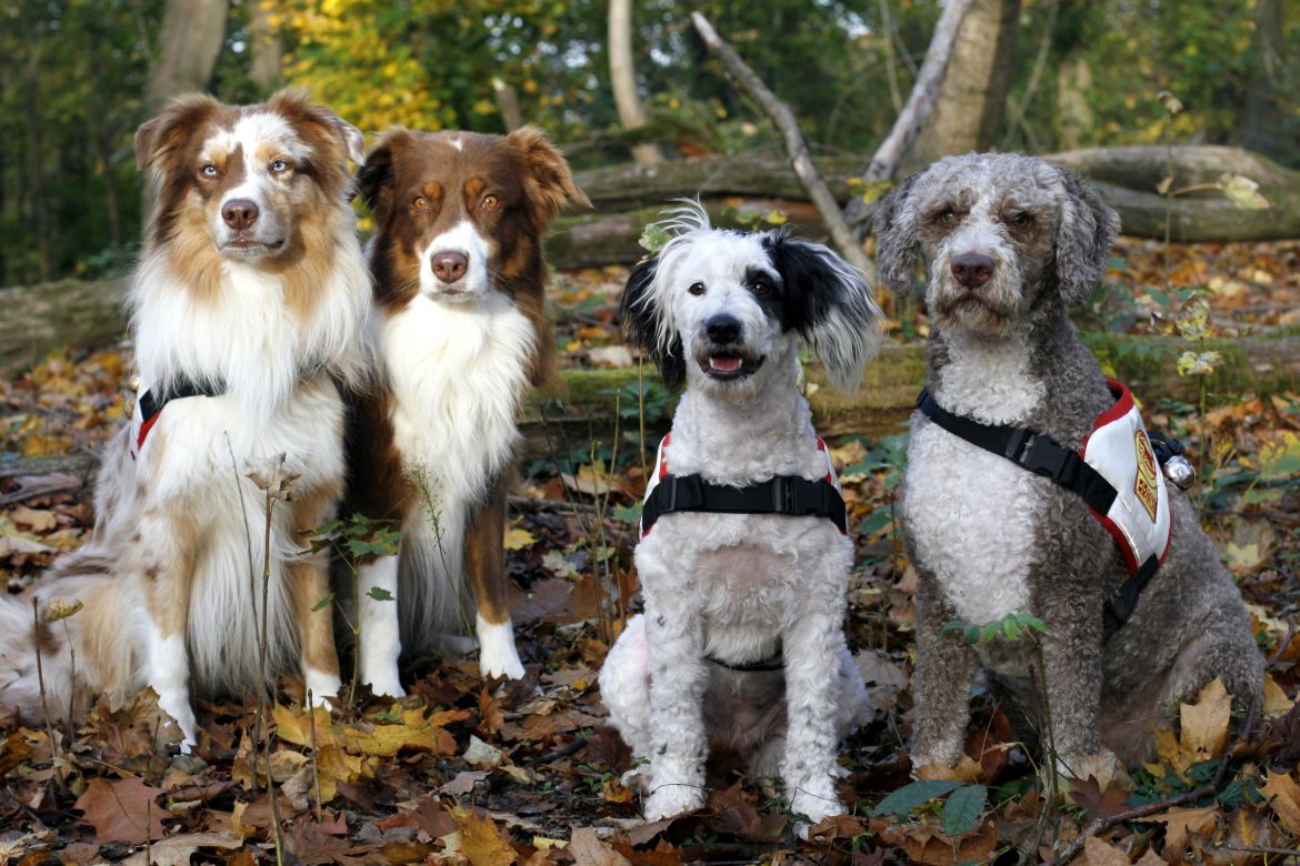 201107-rhz-gang.JPG
