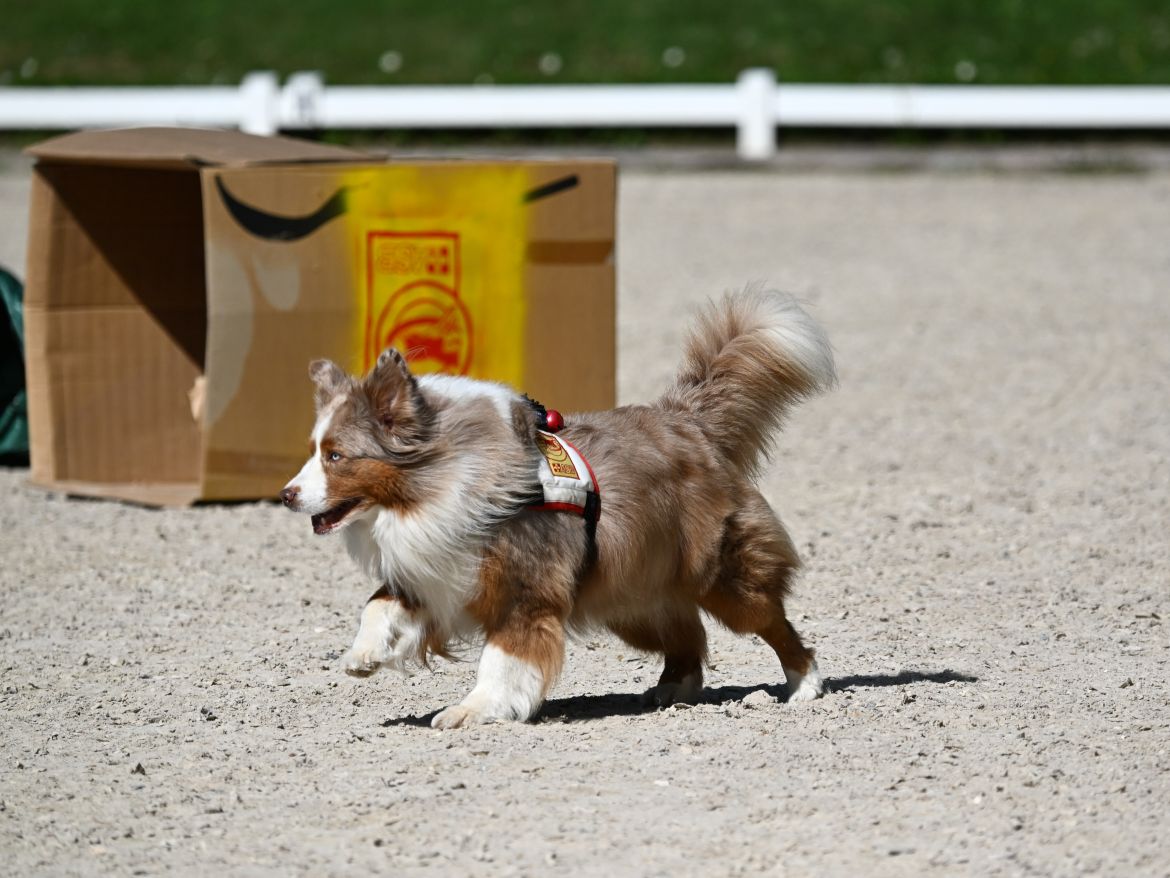 DSC_Snickers3.JPG