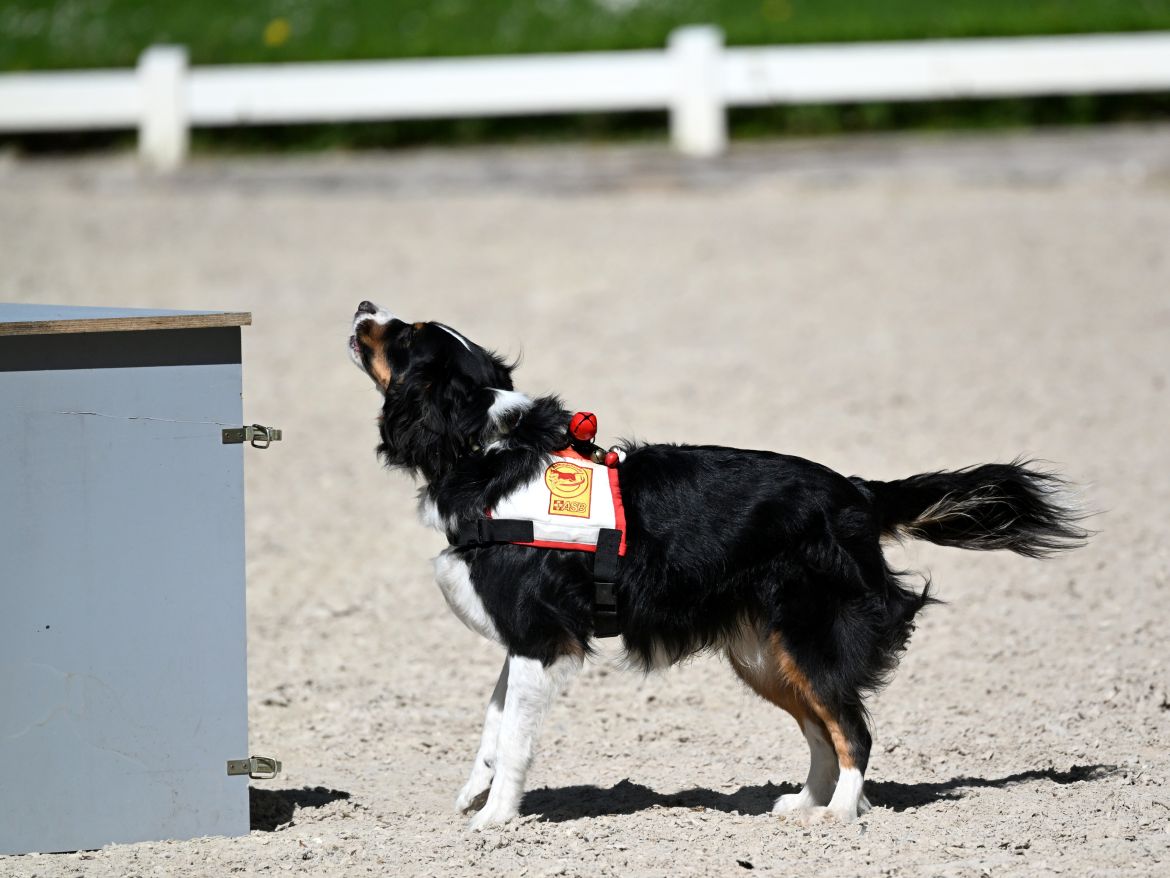 DSC_Riley-1.JPG