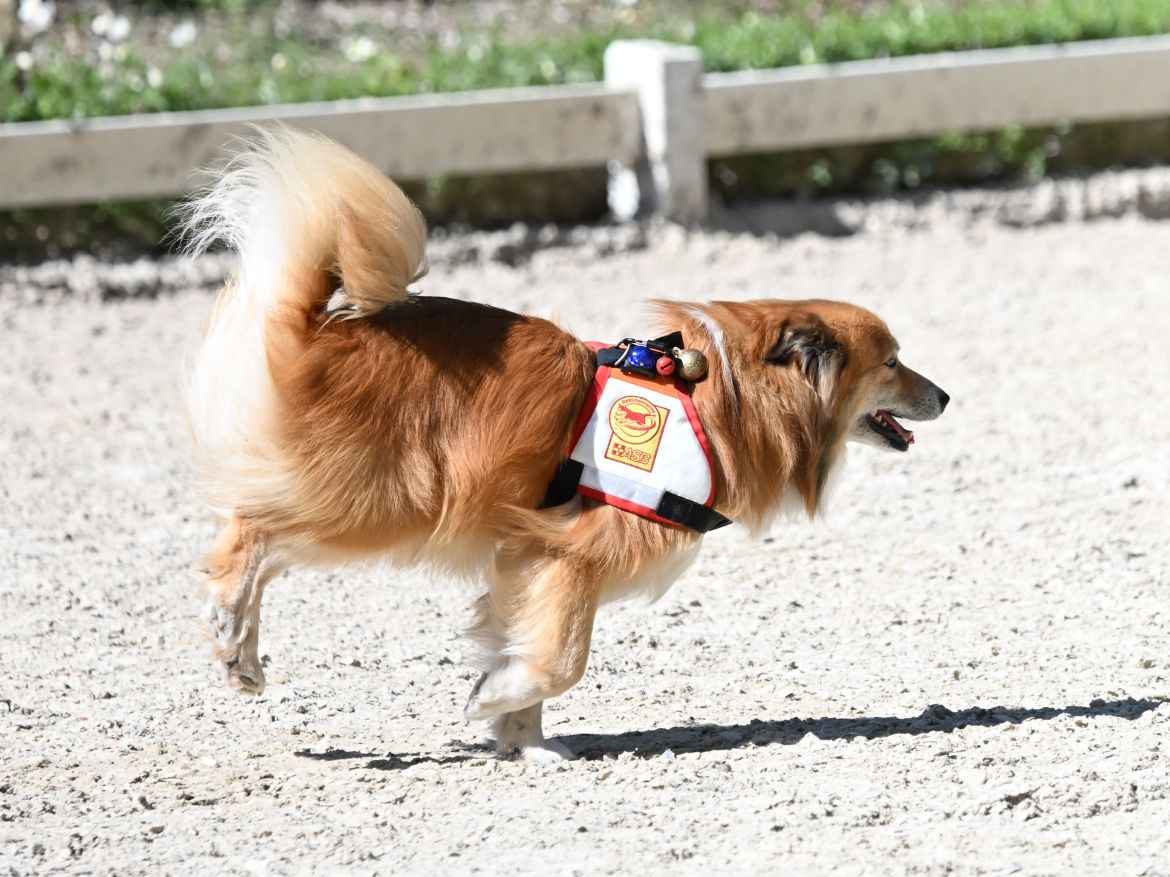 DSC_Reyki1.JPG